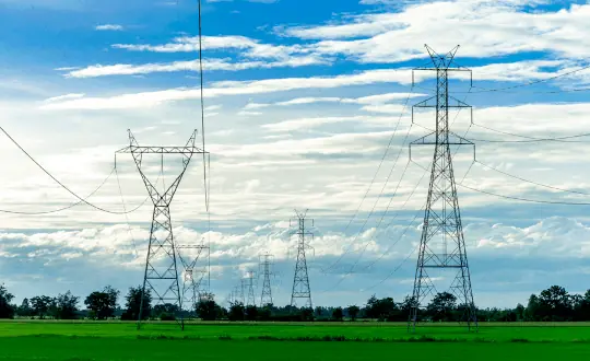 TorresSobreCesped-540x330