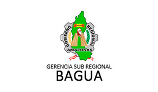 GERENCIA SUBREGIONAL BAGUA