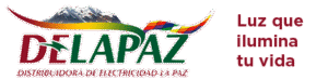 DISTRIBUIDORA DE ELECTRICIDAD LA PAZ S.A. DELAPAZ