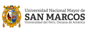 logo_unmsm1