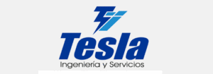 telsa